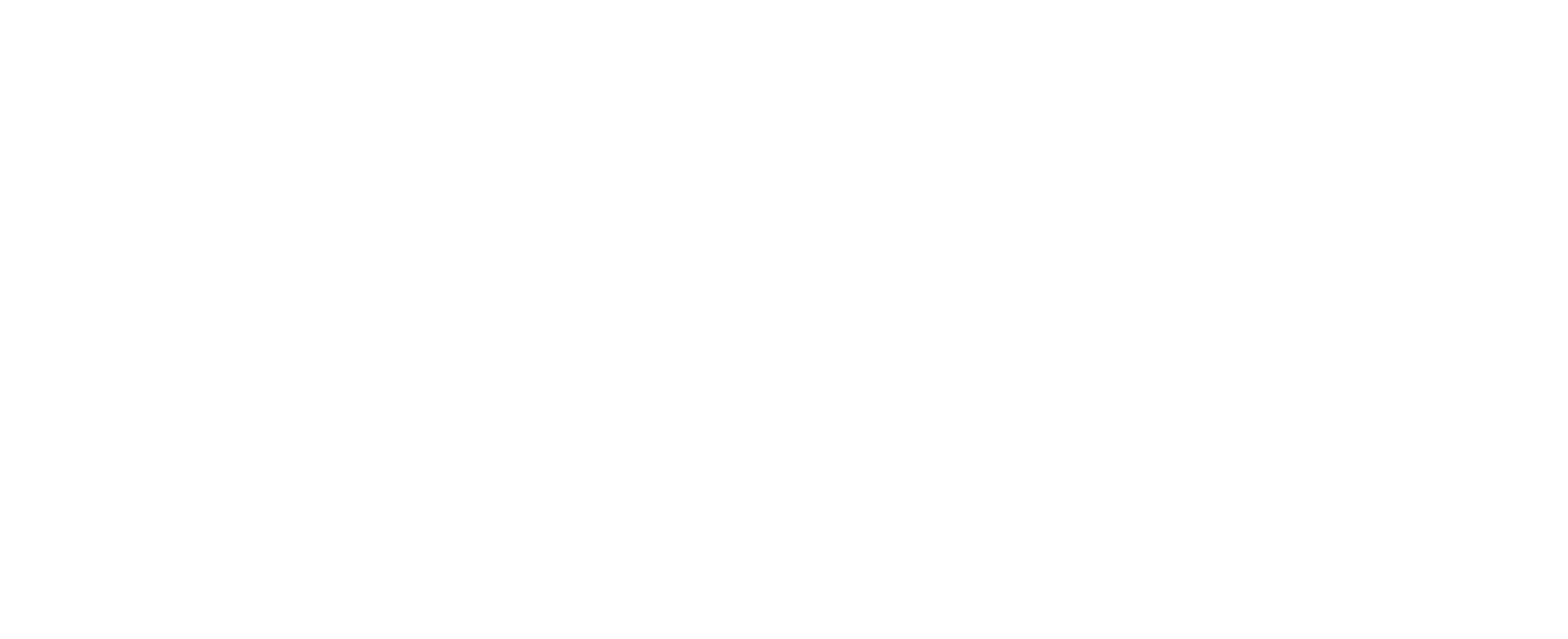 Logo Evo System